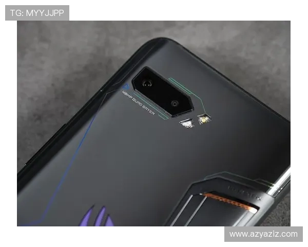 尊龙凯时登陆入口稳定性分析及优化建议确保顺畅游戏体验 尊龙凯时登陆入口稳定性分析及优化建议确保顺畅游戏体验