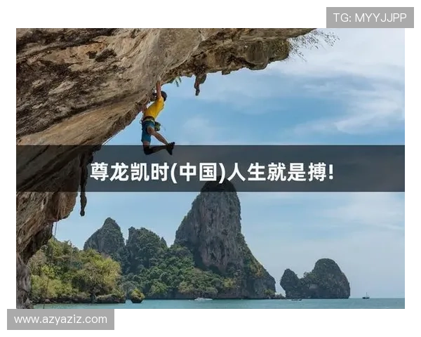 选择尊龙凯时集团网址的理由与用户体验分享