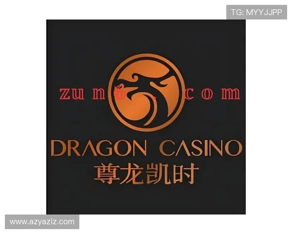 凯时尊龙客服支持体系全面提升用户体验的贴心服务